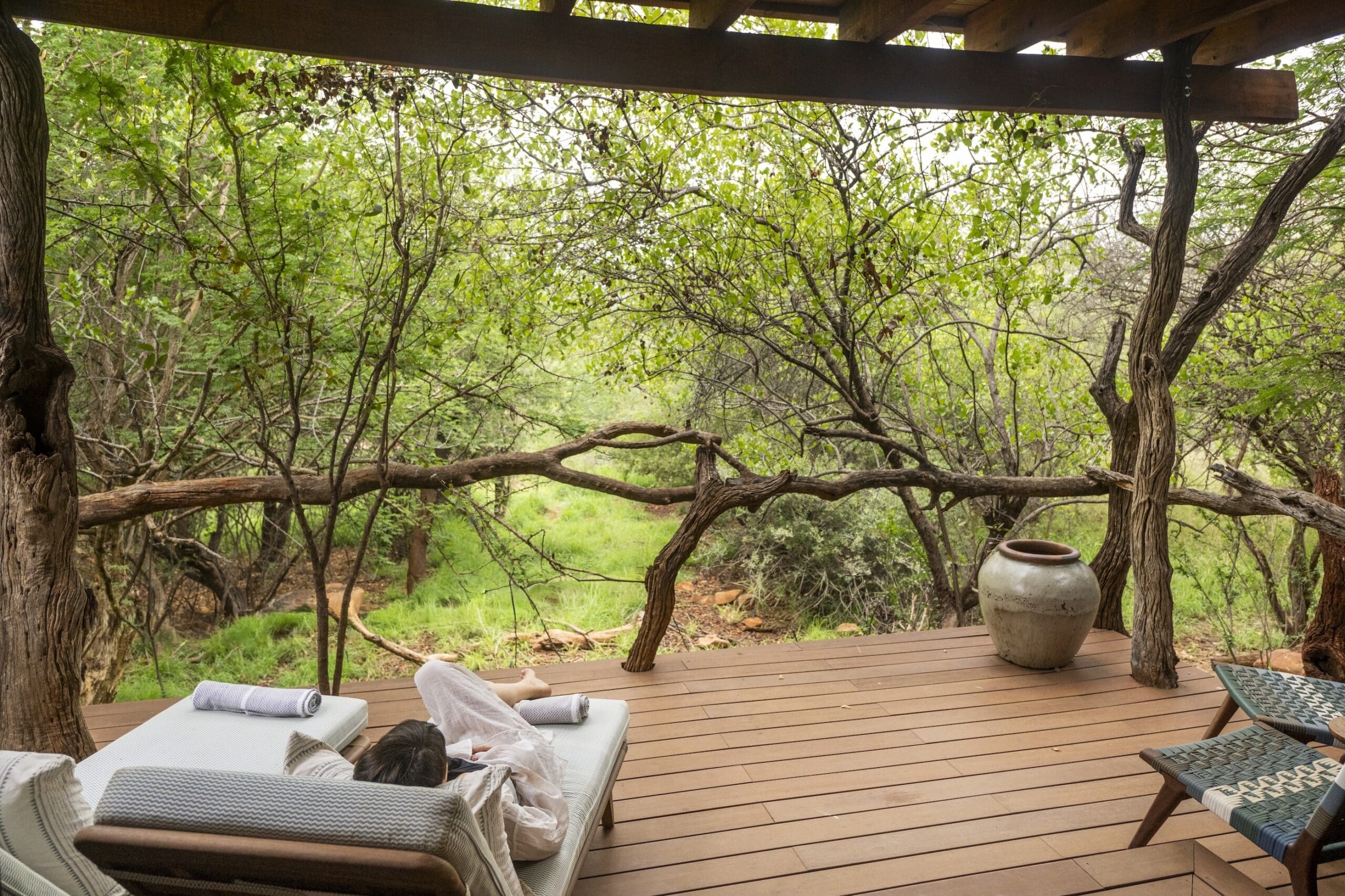 Spa wellness in trees
