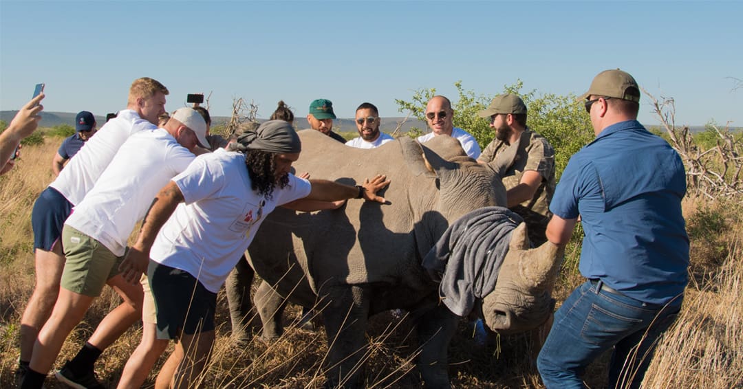 Conservation 3