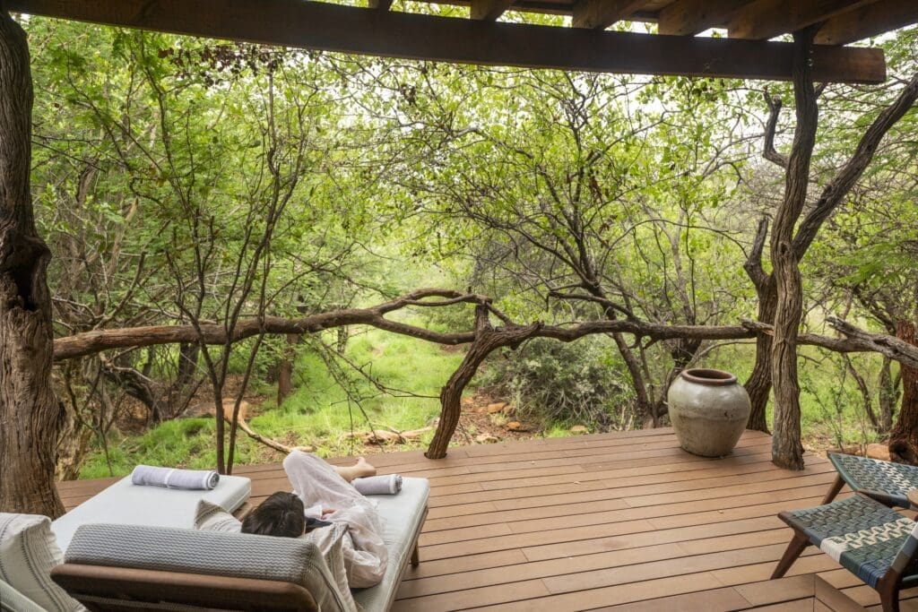 Spa wellness in trees